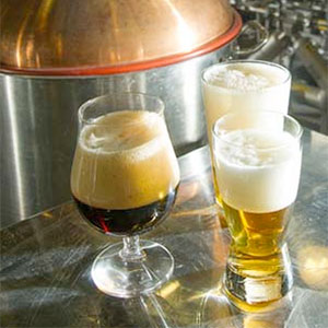 Beer and equipment in UC Davis brewing science program